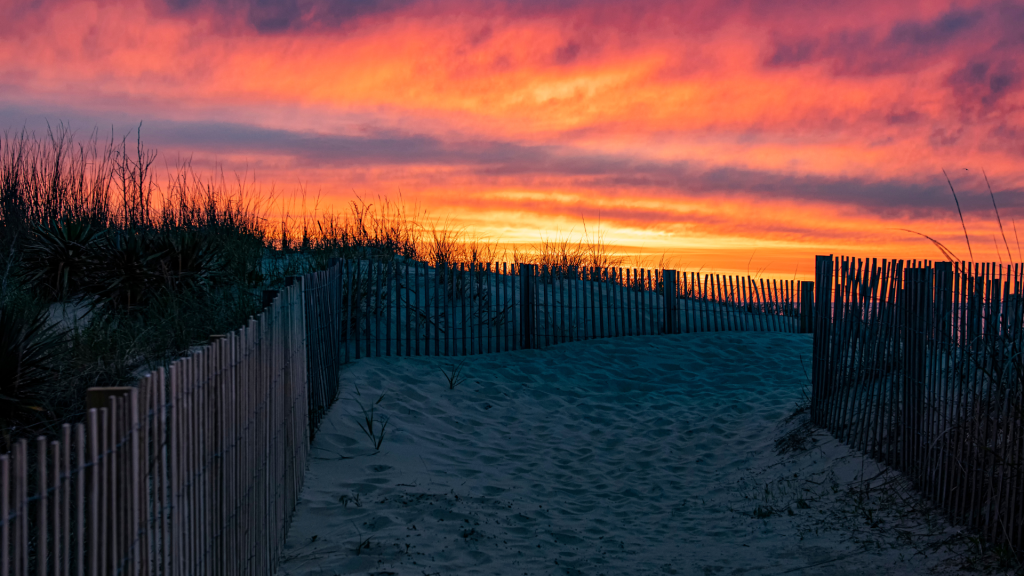 Dunes and beach walkway with a sunset.