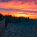 Dunes and beach walkway with a sunset.